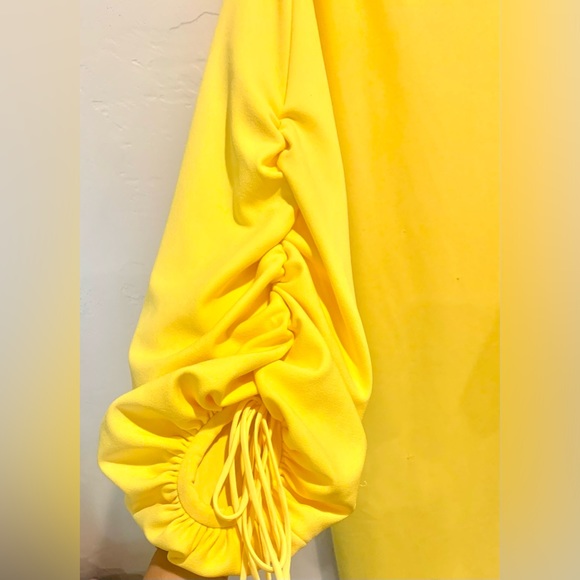 BADGLEY MISCHKA Elegant Blouson Sleeve Day Dress - Picture 5 of 13